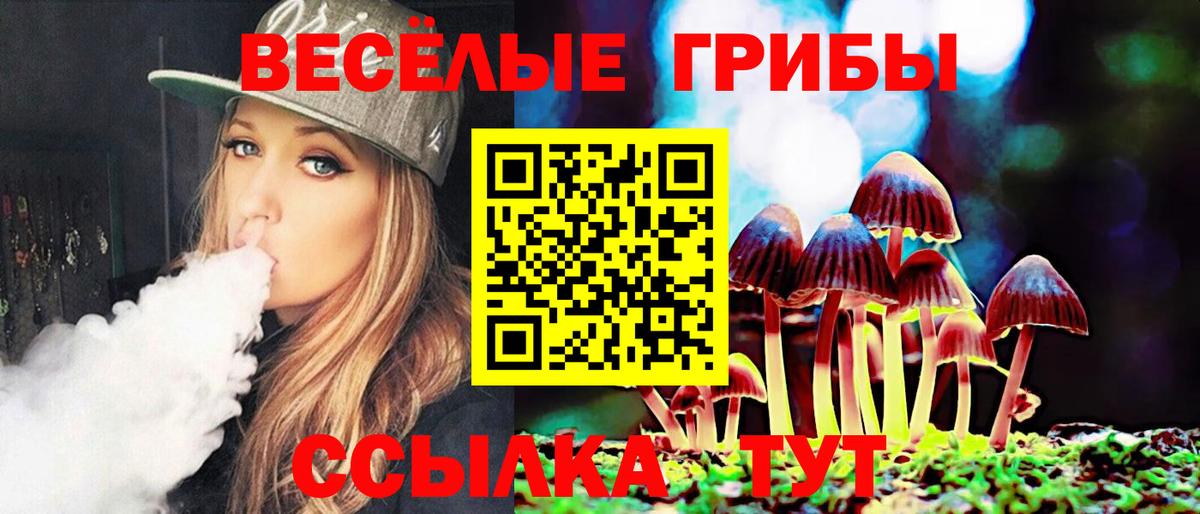 Псилоцибиновые грибы GOLDEN TEACHER Альметьевск