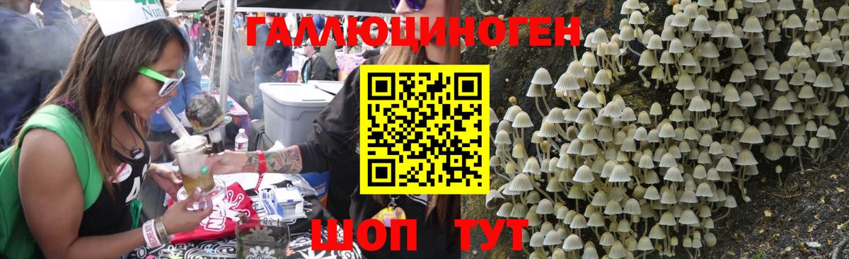 Альметьевск  Галлюциногенные грибы Magic Shrooms  Вход с VPN  Псилоцибиновые грибы прущие грибы 