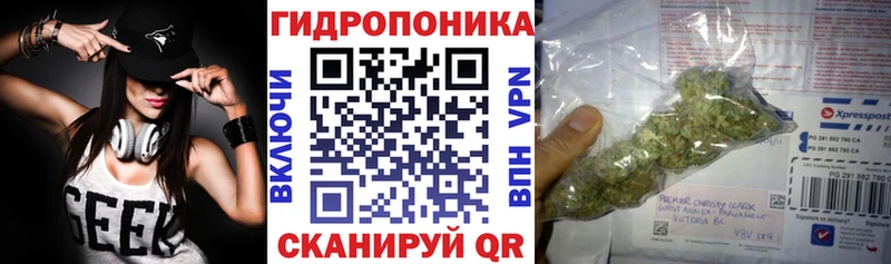 Бошки Шишки семена  Альметьевск 